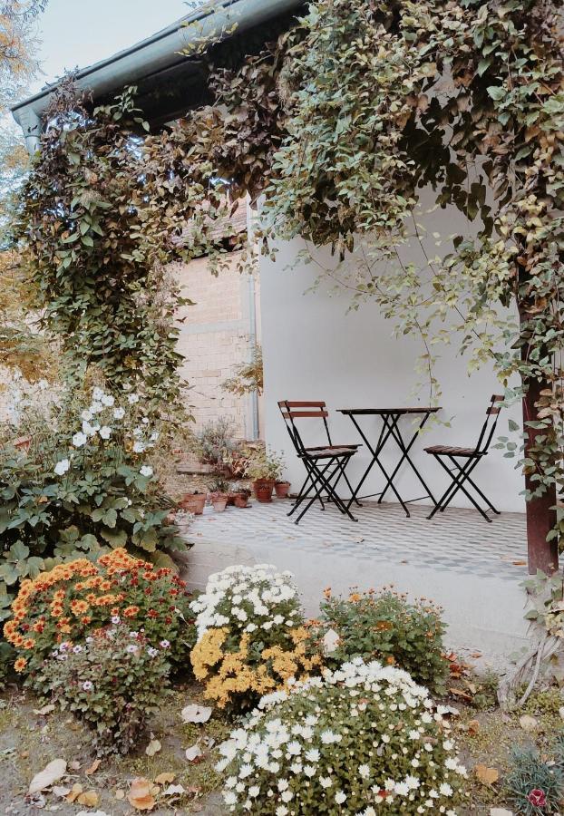 Ethno&Coffee House Tulip Bed & Breakfast Glozan Eksteriør bilde