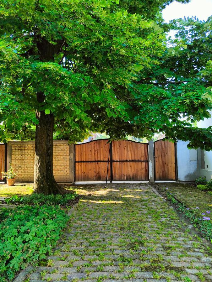 Ethno&Coffee House Tulip Bed & Breakfast Glozan Eksteriør bilde