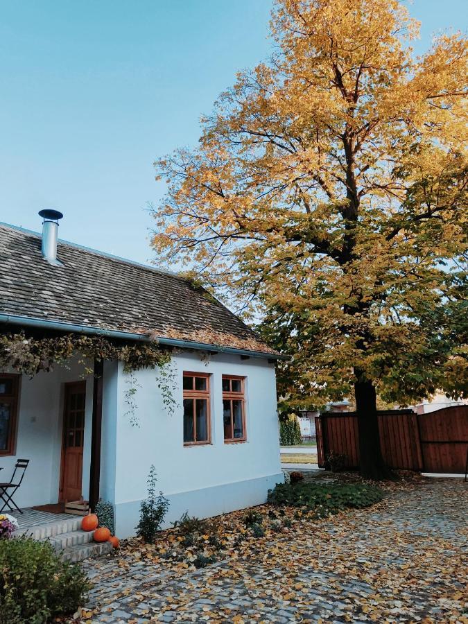 Ethno&Coffee House Tulip Bed & Breakfast Glozan Eksteriør bilde